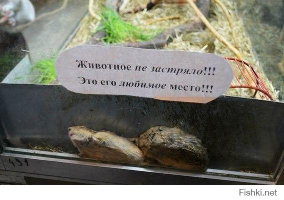Застрял