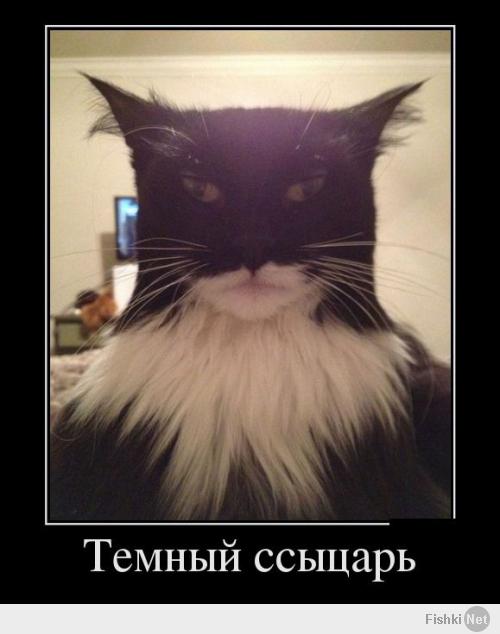 Красавчики :)