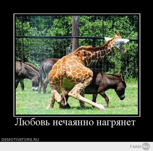 Пародии на постеры к известным фильмам