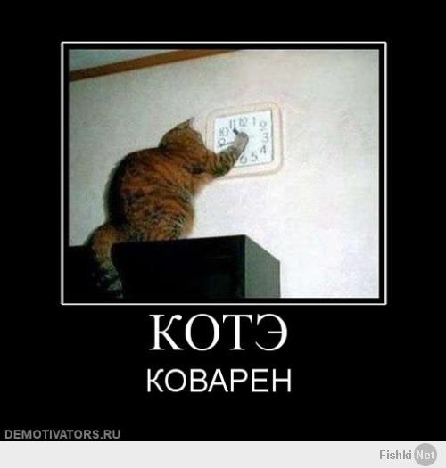 Я смогу!