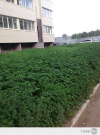 Прикольные надписи и обьявления