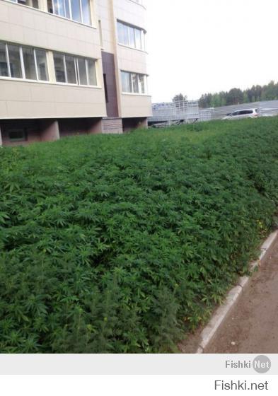 Прикольные надписи и обьявления