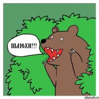 Вестник социальных сетей