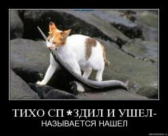 Профессиональный ворюга