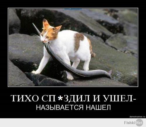 Профессиональный ворюга
