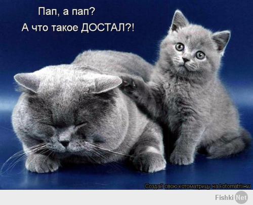 Кто-то работает, а кто-то отдыхает!