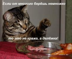 Нормальный деревенский кот