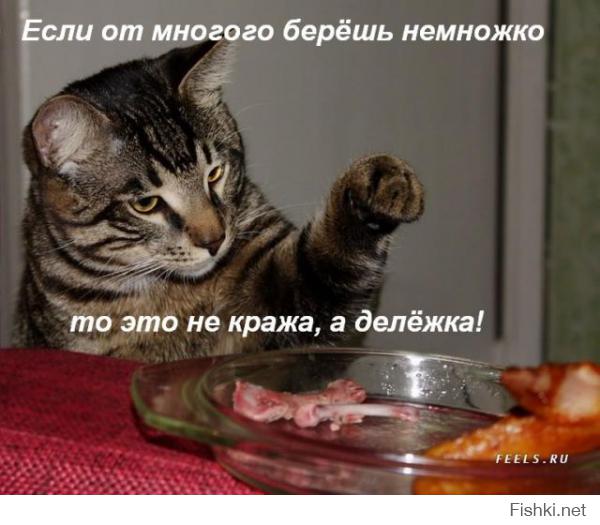 Нормальный деревенский кот