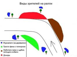 Инфографики обо всем на свете