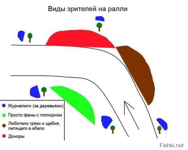Инфографики обо всем на свете