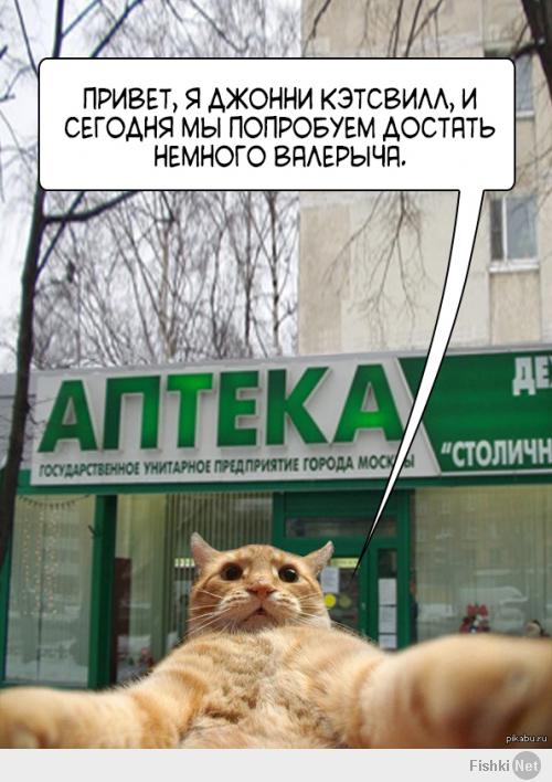 А тем временем-)