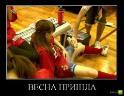 Насекомых травят!