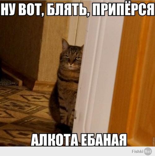 Всех с пятницей
