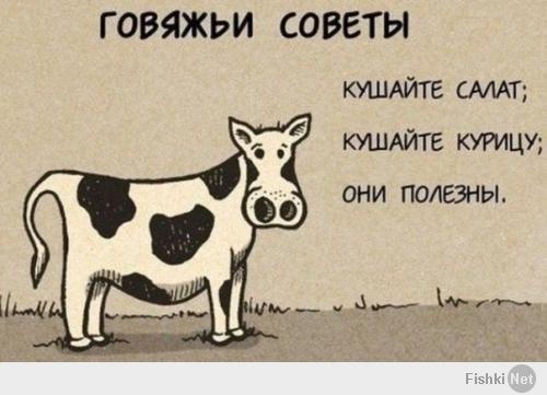 Фишкина солянка за 14.05.2014