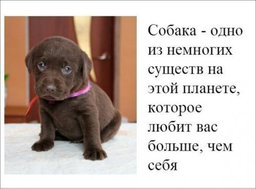 Фишкина солянка. Часть 51