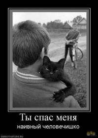 Собака-подляка