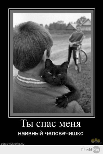 Собака-подляка