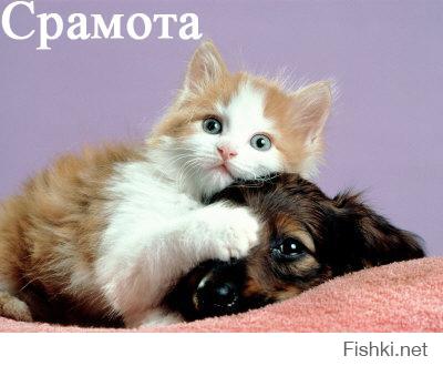 Проходил мимо , как то в зоомагазине)