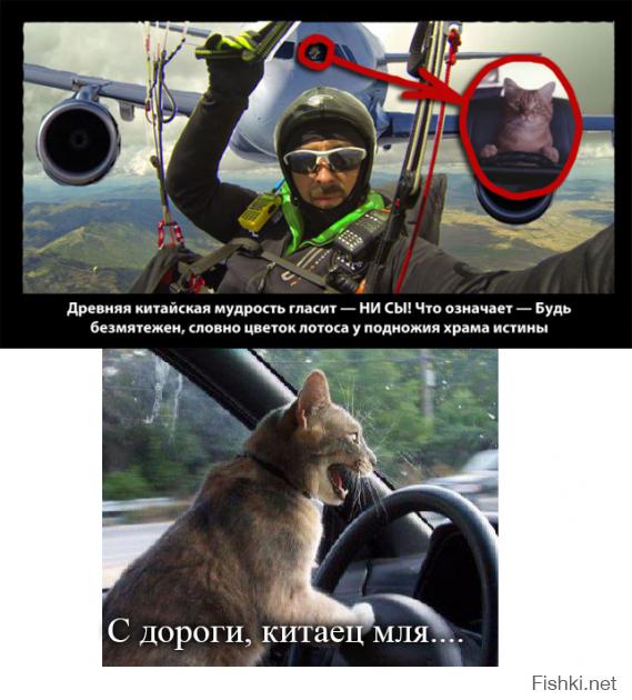 крутое Селфи