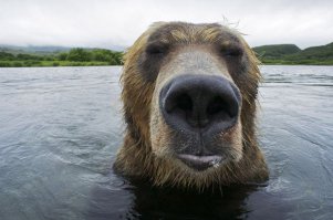 Как бы не было плохо, я очень счастлив, что живу в России...