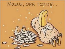 Мамина любовь