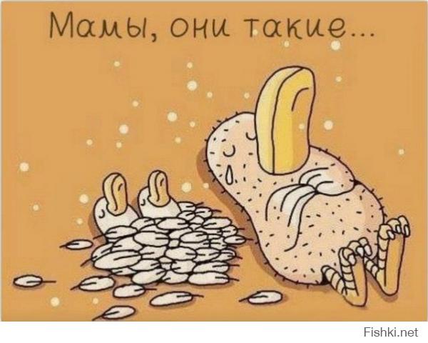 Мамина любовь