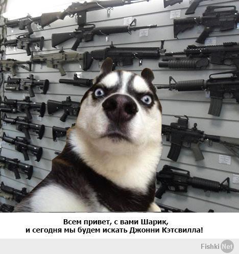 Джонни Кэтсвэлл везде.