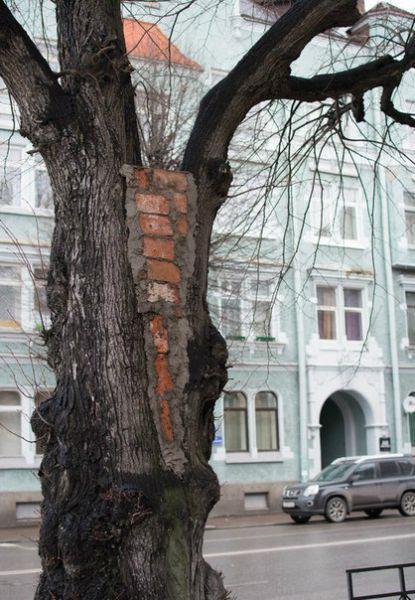 кто объяснит, *****?