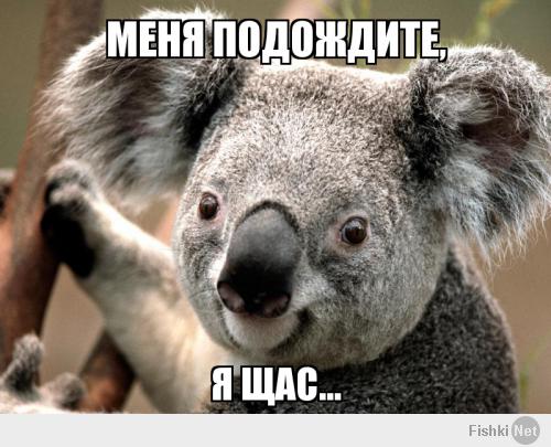 Сегодня пятница