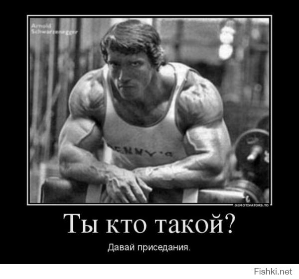 Приключения железного Арни