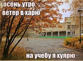 Картинки со смешными подписями
