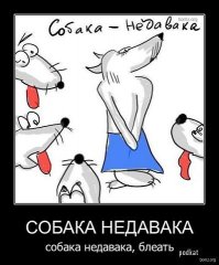 Такие разные собаки