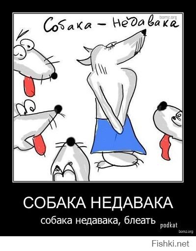 Такие разные собаки