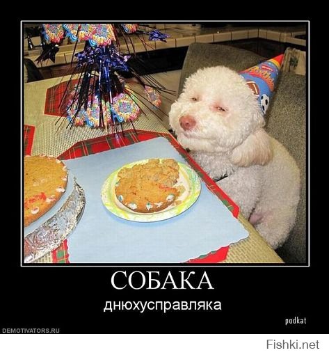 Такие разные собаки