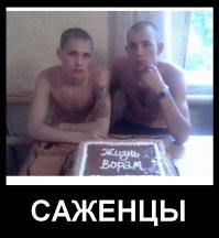 Вестник социальных сетей