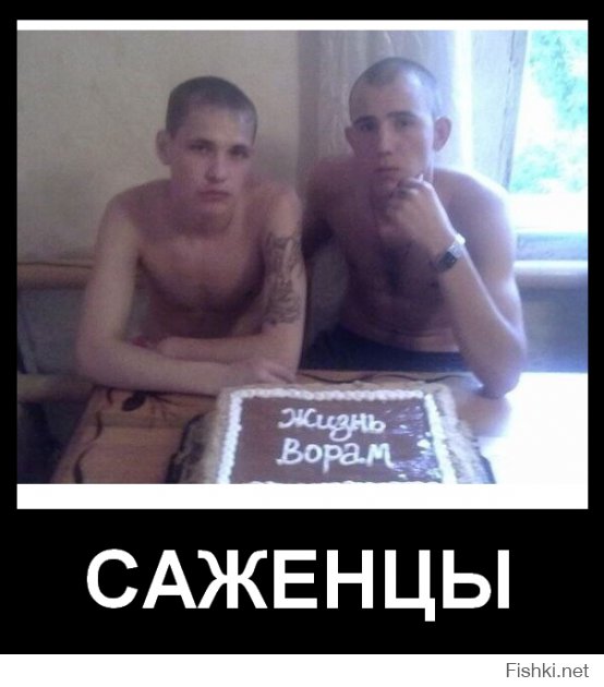 Вестник социальных сетей