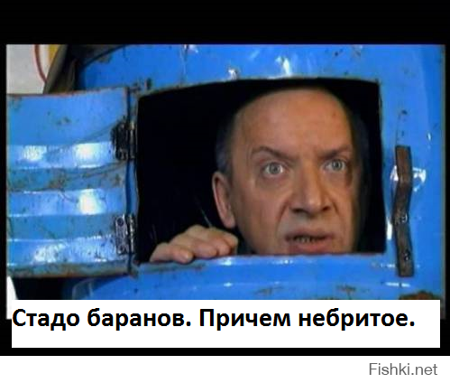 С неба на землю