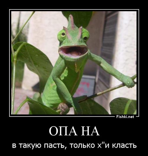 ДЕВКИ МЕРЯЮТСЯ: У КОГО РОТ БОЛЬШЕ