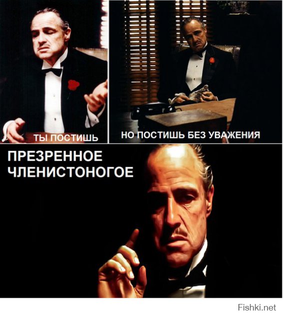 Прикольные картинки с надписями