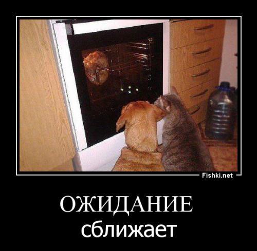 Фишкина солянка за 09.09.2014