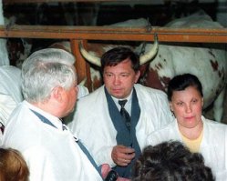 Показалось