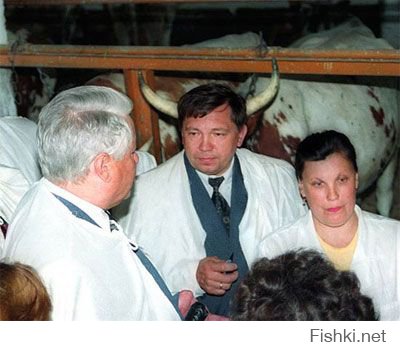 Показалось