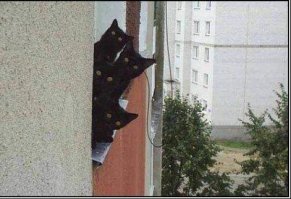 Неожиданно из-за дерева показалась чья-то морда