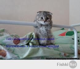 на пенсии