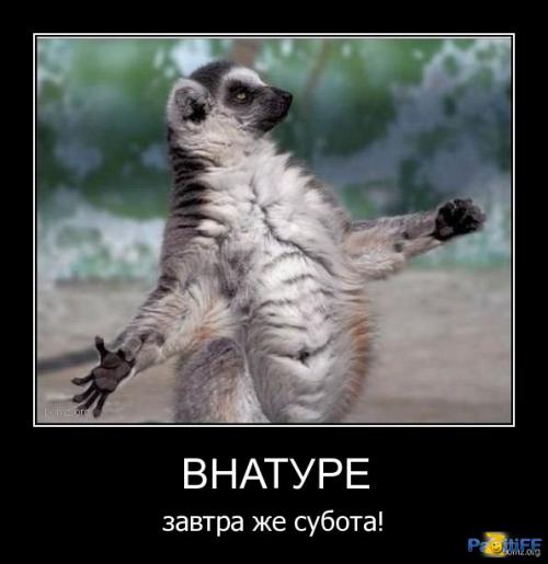 Фишкина солянка. Часть 41