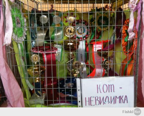 В Москве прошла выставка кошек «Возрождение-2014»