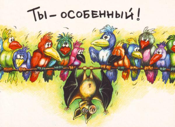 Фишкина солянка. Часть 41