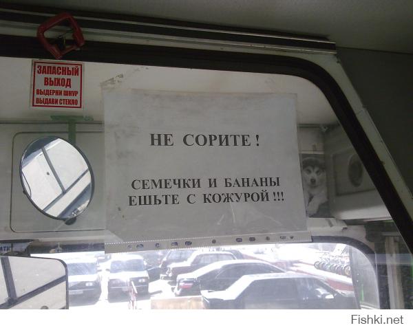 Как весело ездить в маршрутках