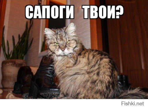 Кот из преисподней