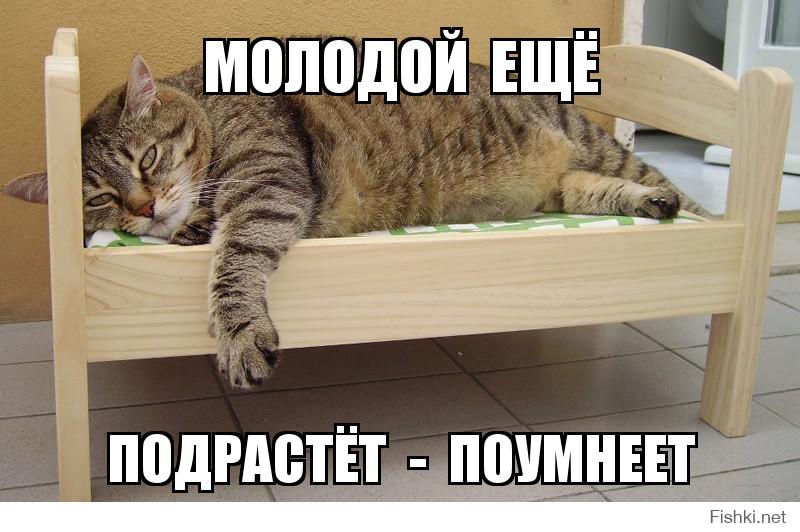 aef57aab03508826307193792c17fe13.jpg